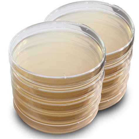 dissolve lb agar without autoclave|adding agar plates to lab.